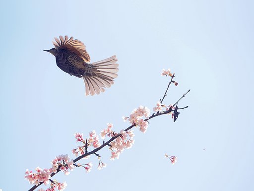 立つ鳥後を・・・