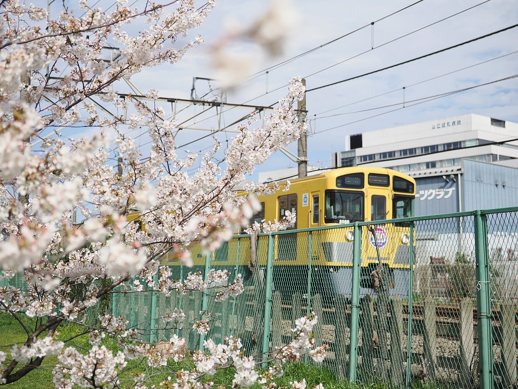 やっぱり黄色い電車ですよね。