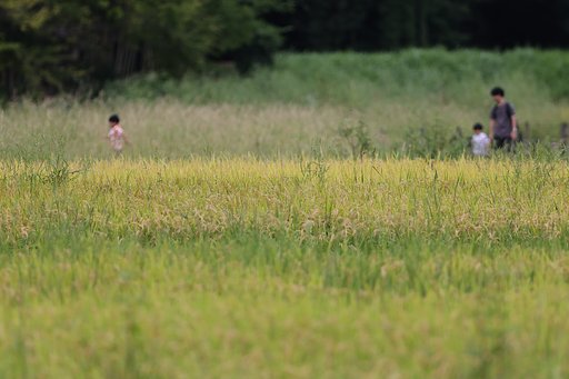 9月14日の写真
