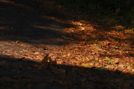 風の通り道