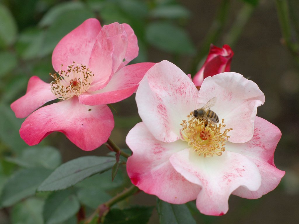 神代植物公園にて