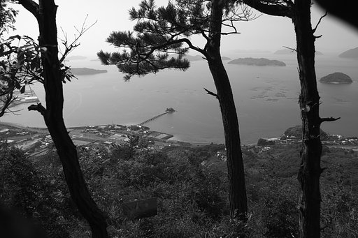 3月8日の写真