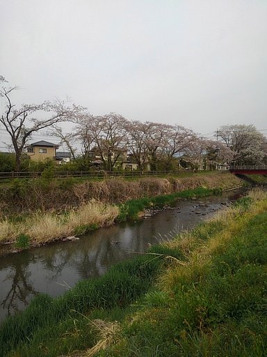 4月18日の写真