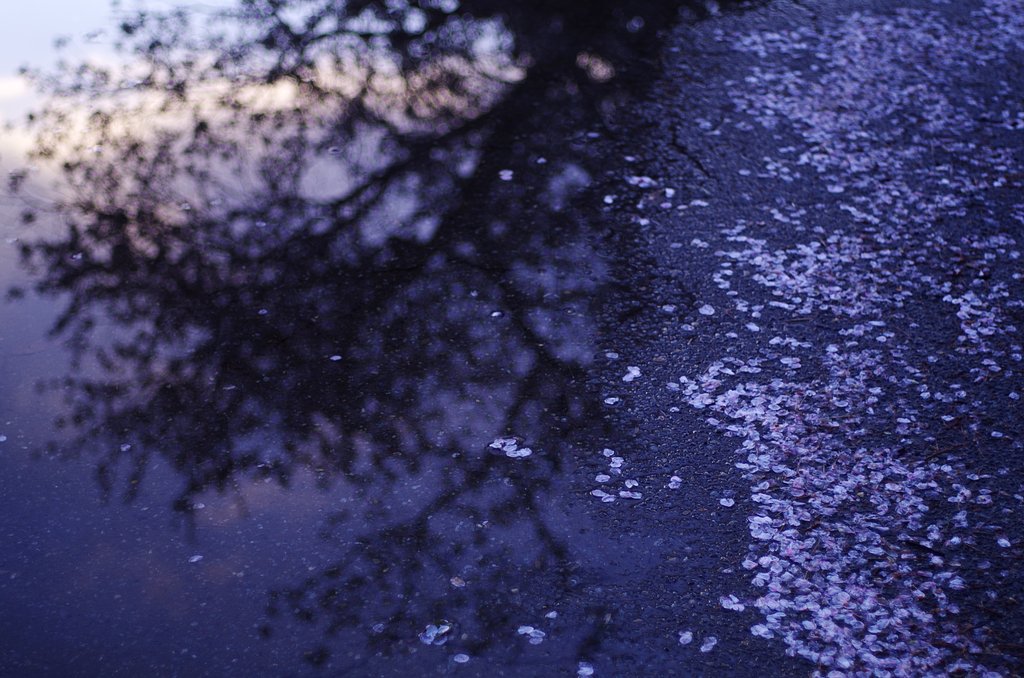 春雨