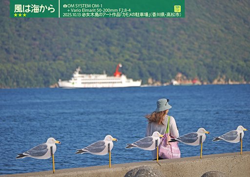 風は海から２
