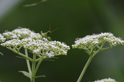越湖湯沢の山奥にて ５