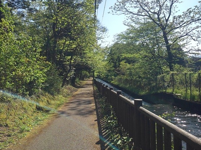 用水路沿いの歩道