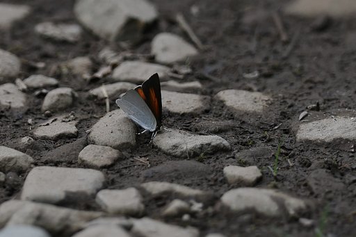 越後湯沢の山奥で 8