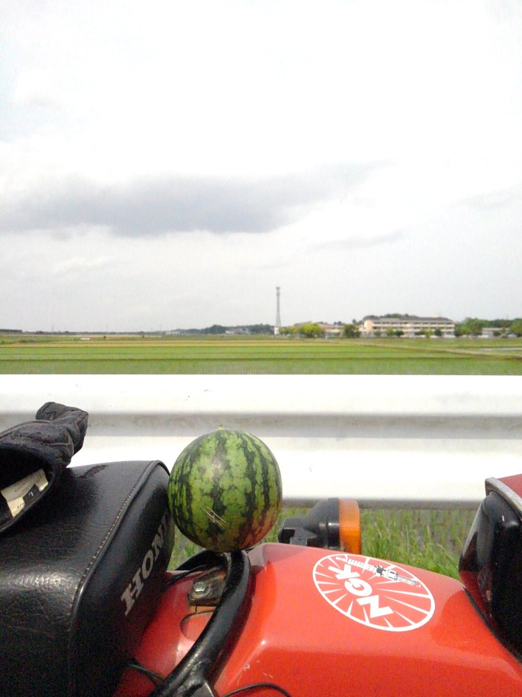 夏のにおい