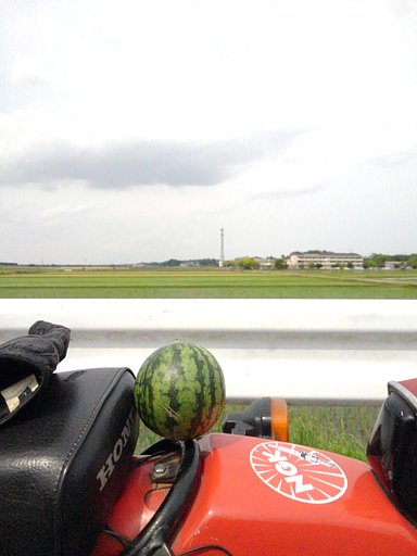 夏のにおい