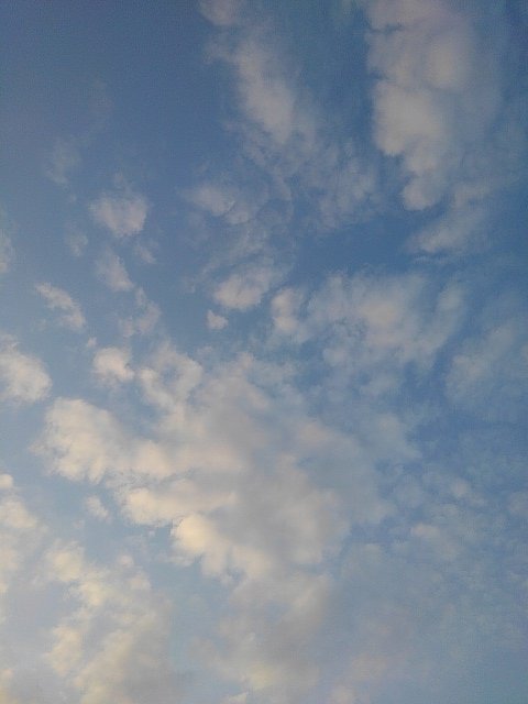 久々な気のする青空
