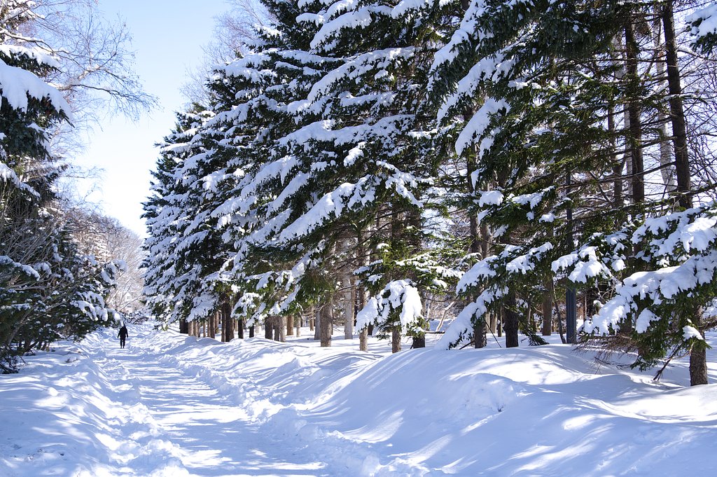 まだ雪の中