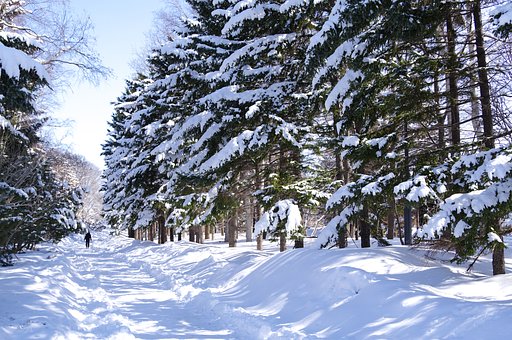 まだ雪の中