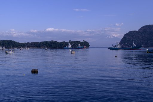 戸田（へだ）港の朝２