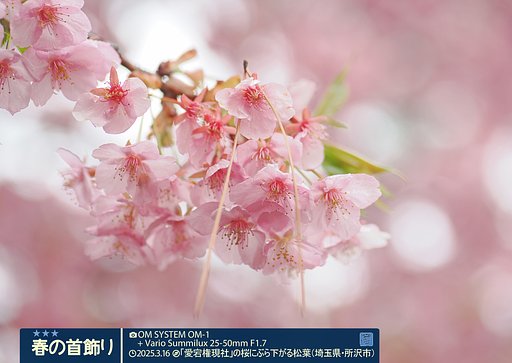 春の首飾り２