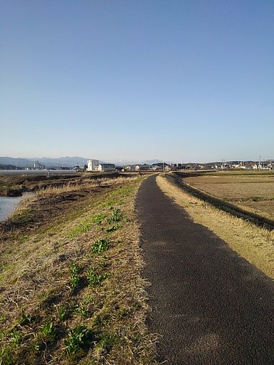 土手の道～3月の暖かな日編