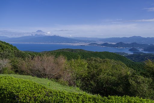 達磨山からの景色