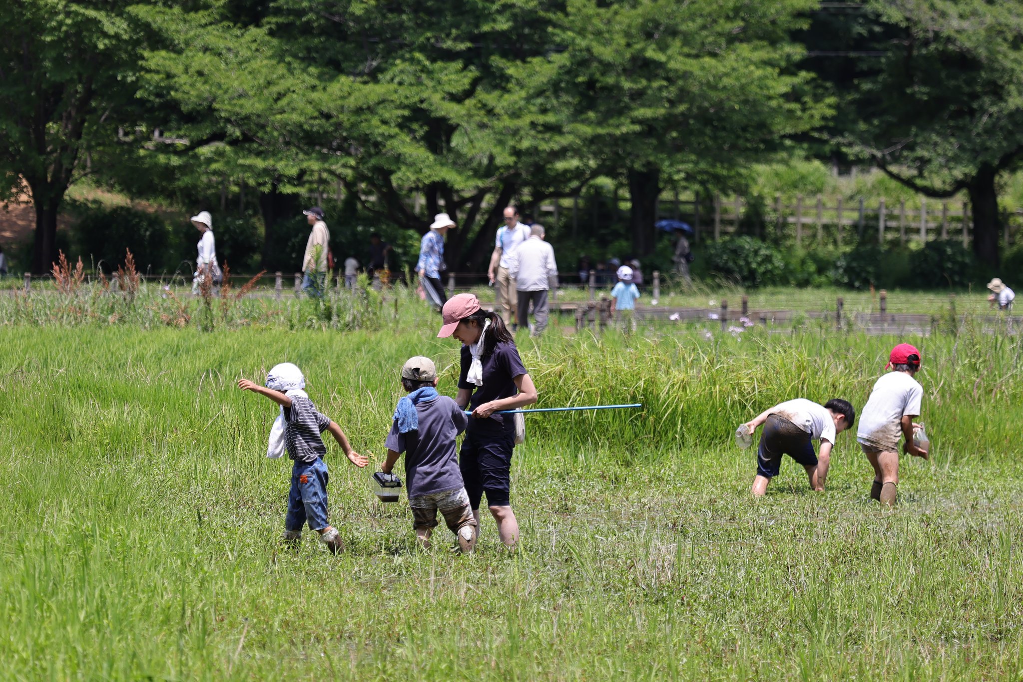 泥田んぼ家族