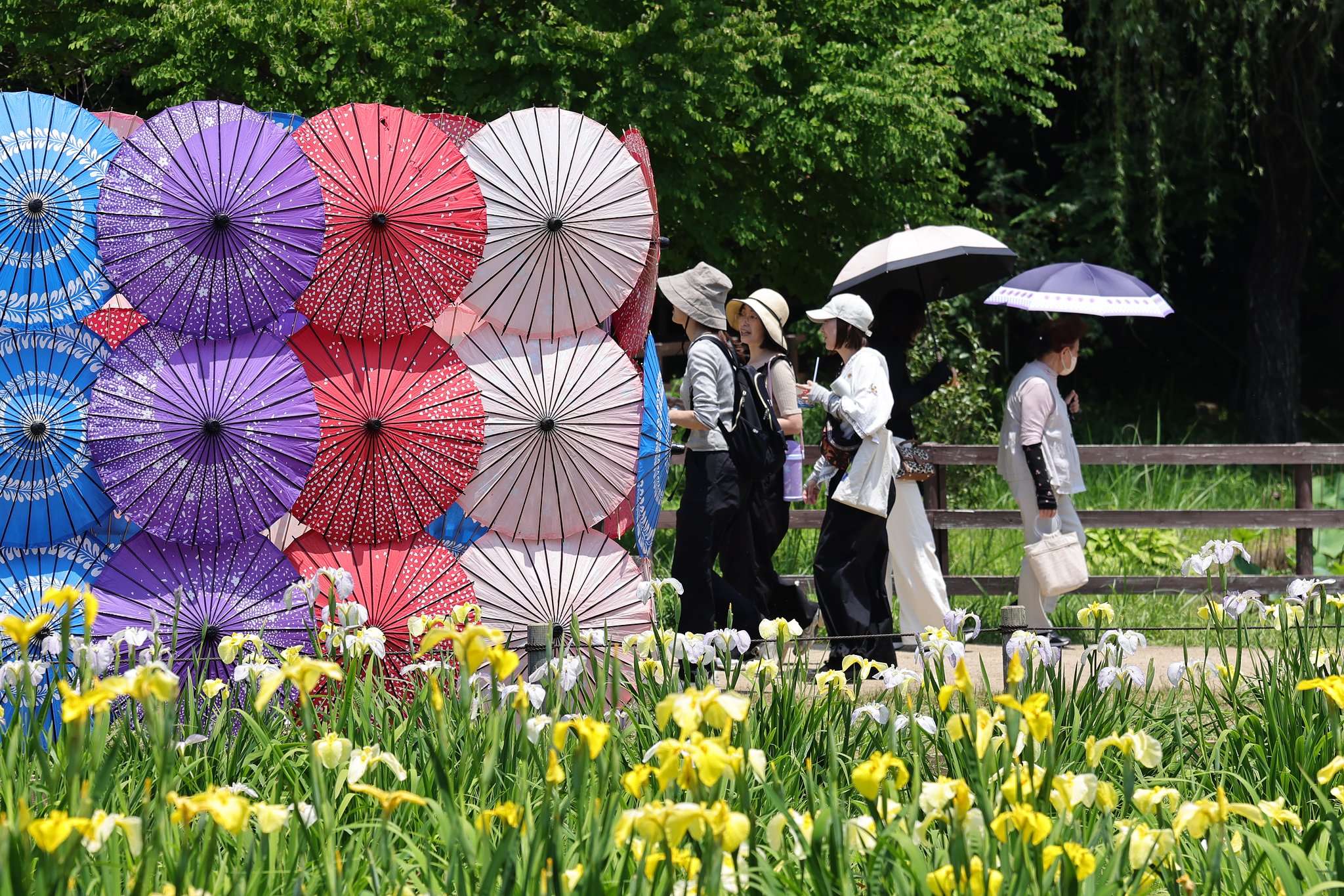 祭りなんで　花三態