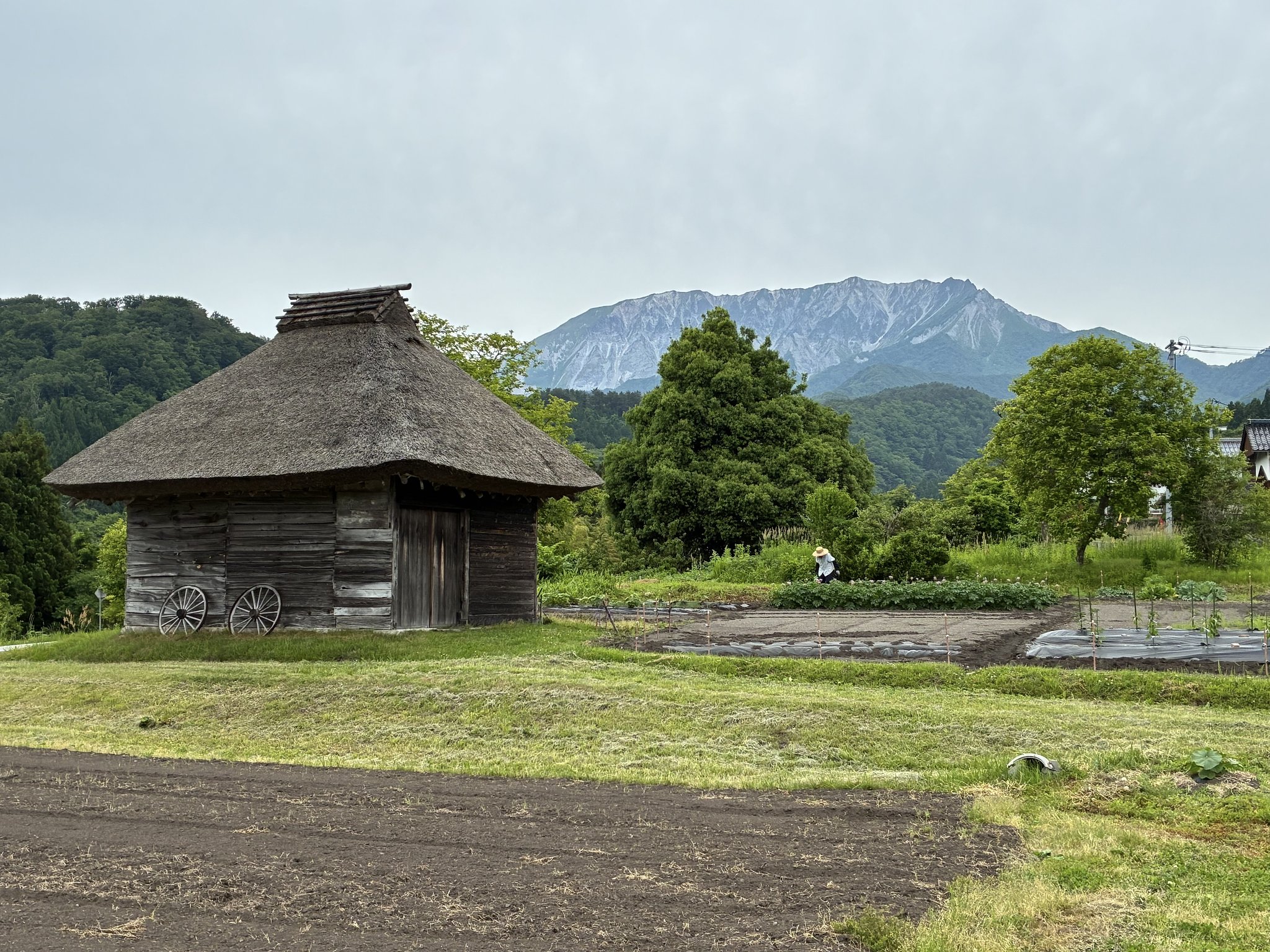 裏大山遠望