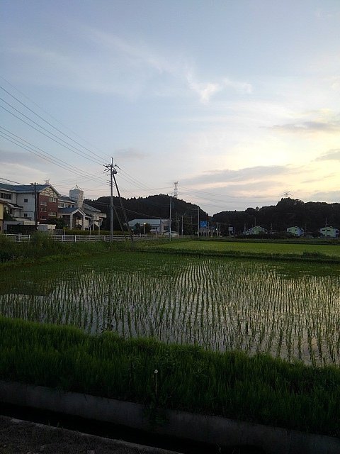 閉校した学校の校舎と水田のある景色