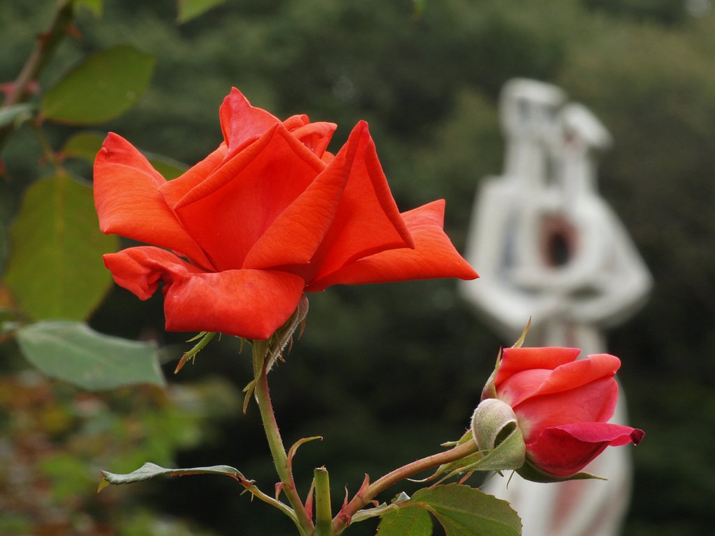 神代植物公園にて、その２