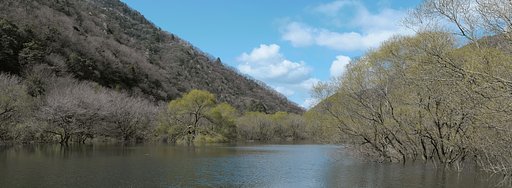 ダム湖の春