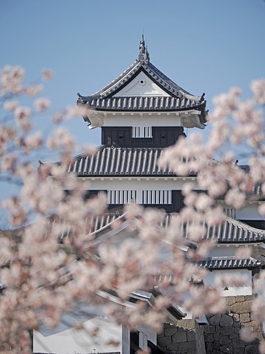 いにしえの春を思う〜白河小峰城〜