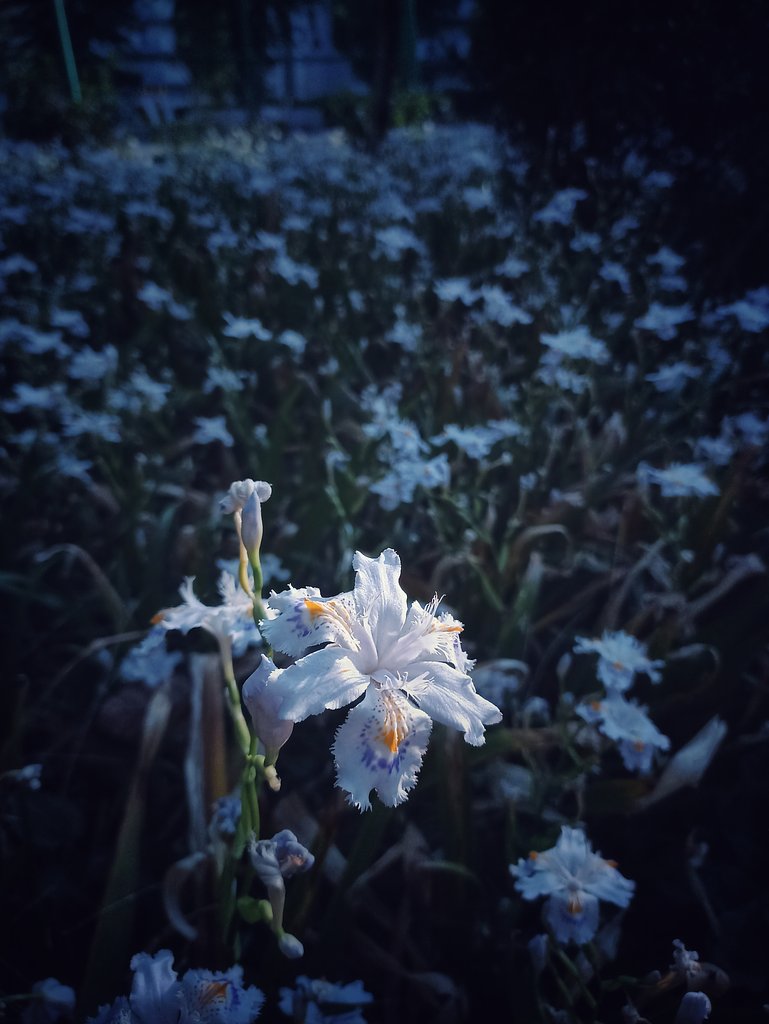 目覚め