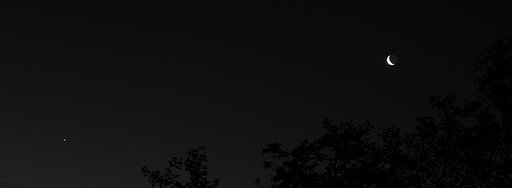 4月24日の写真