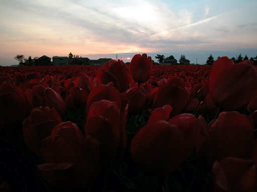 夕Lip