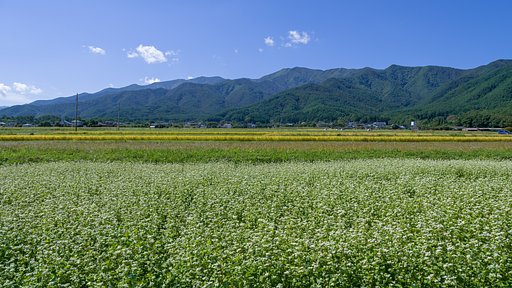 故郷のミルフィーユ