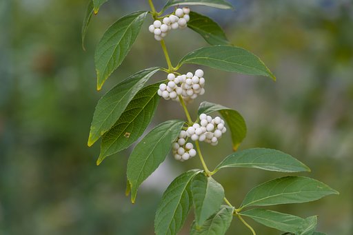 10月5日の写真