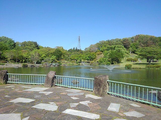 私の好きな池の石畳の歩道のある景色