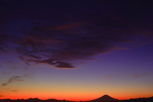 11月8日の写真