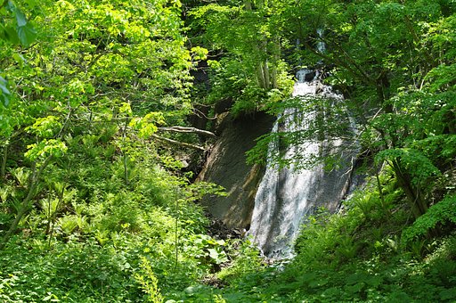 秘境の滝
