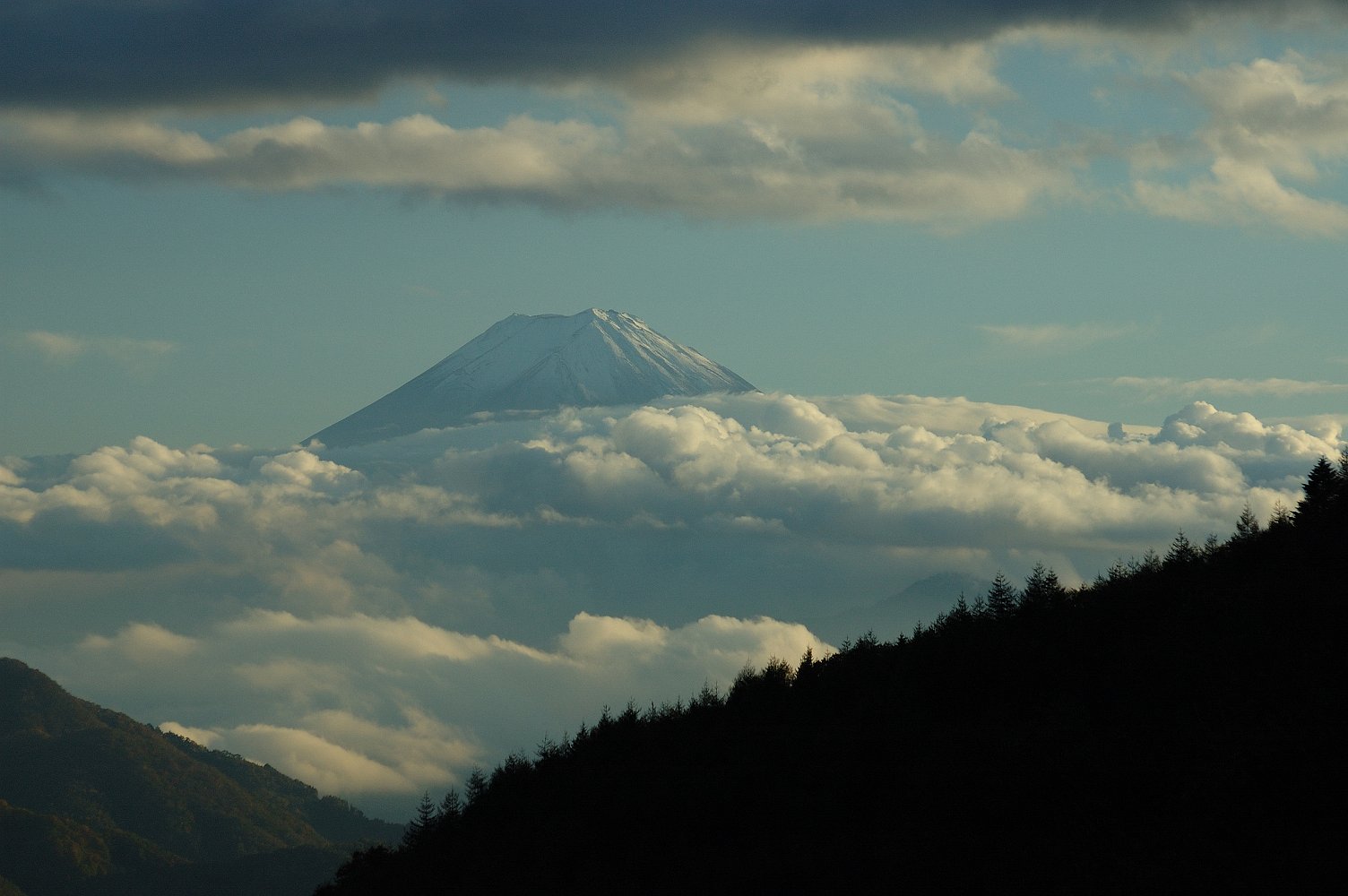 頭を雲の上に出し