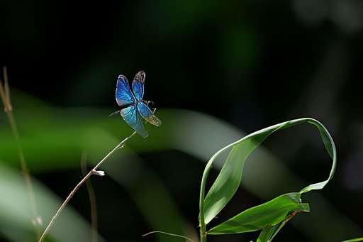 7月14日の写真