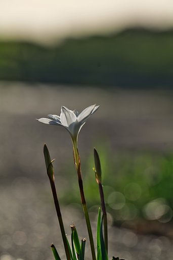 西日を受ける