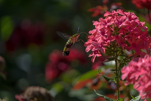7月20日の写真