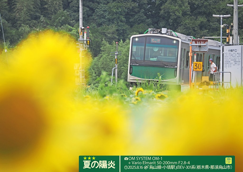 夏の陽炎