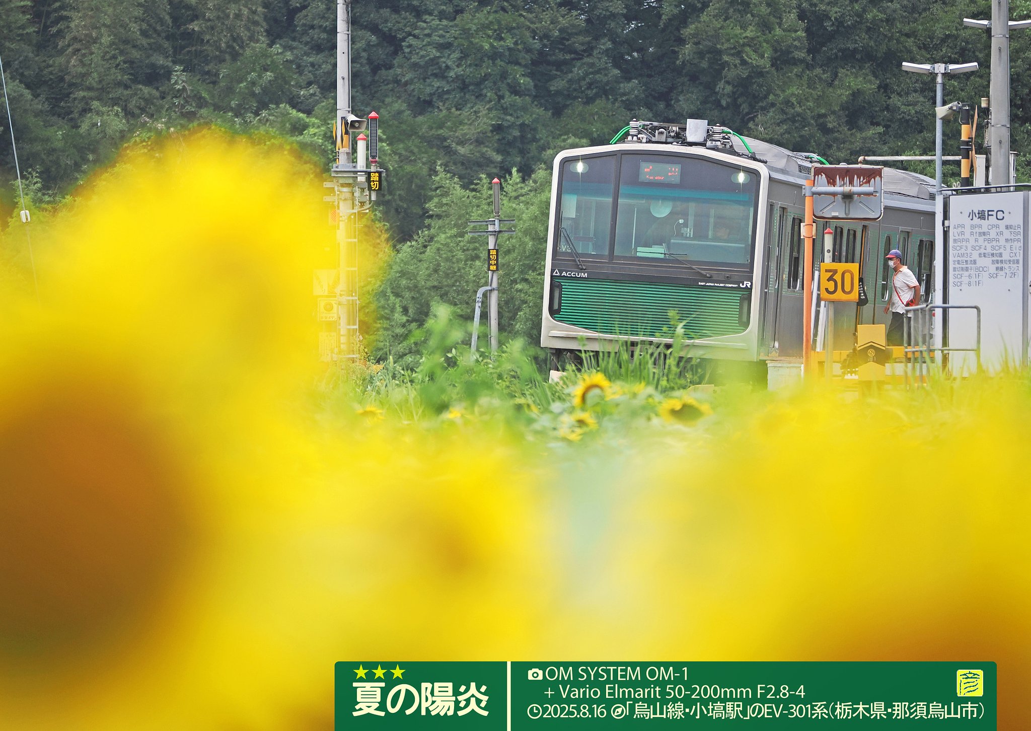 夏の陽炎
