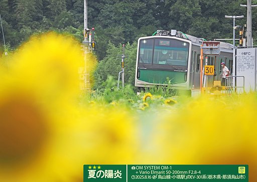 夏の陽炎