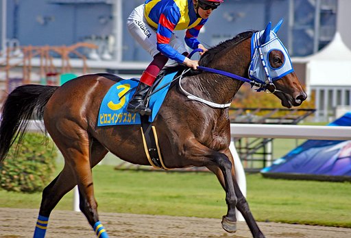 AIで競馬の予想はできるか？