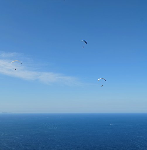 風に乗る