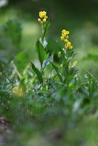 4月27日の写真