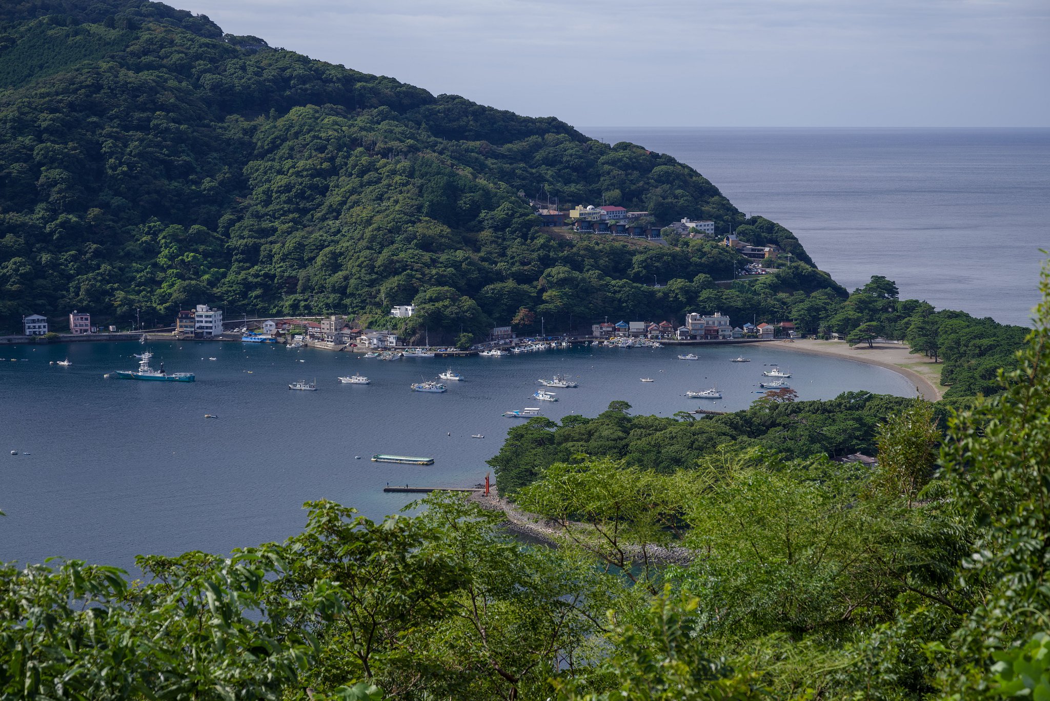 箱港