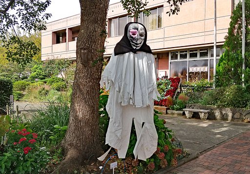ハロウィン