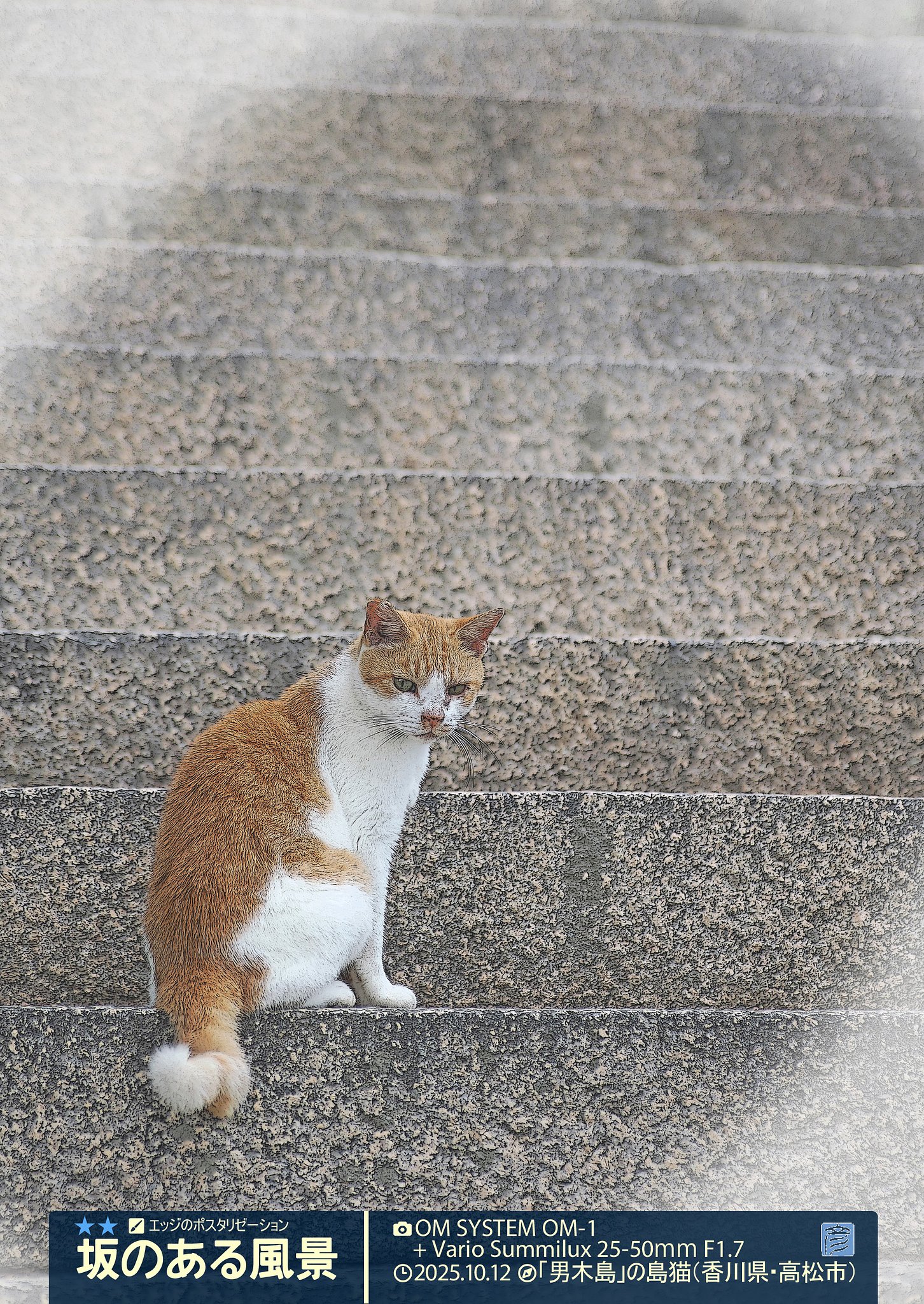 坂のある風景
