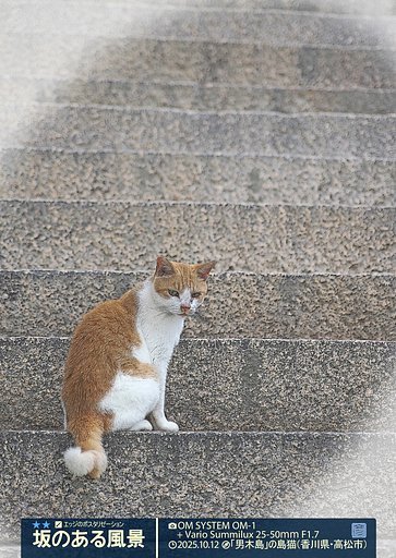 坂のある風景